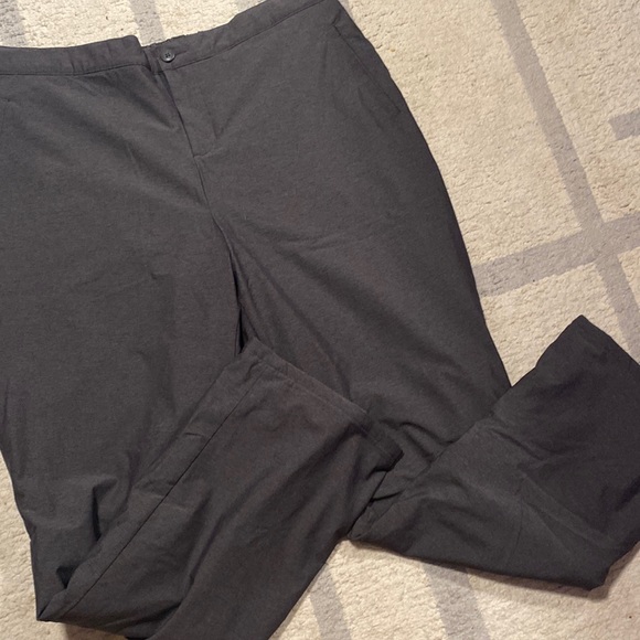 Sunice lined pants
